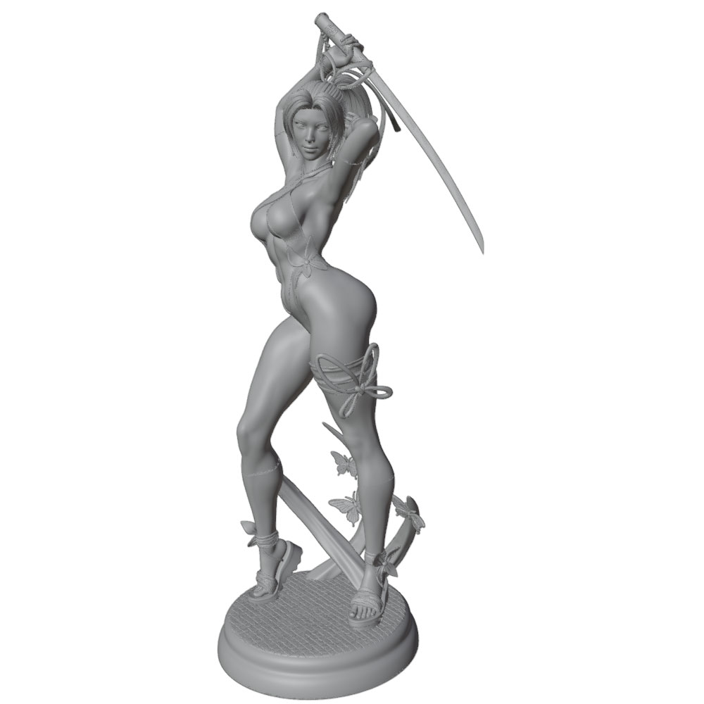 1/24 Female 	Warrior Resin Mod - 3D Printing Ultem 评论和价格